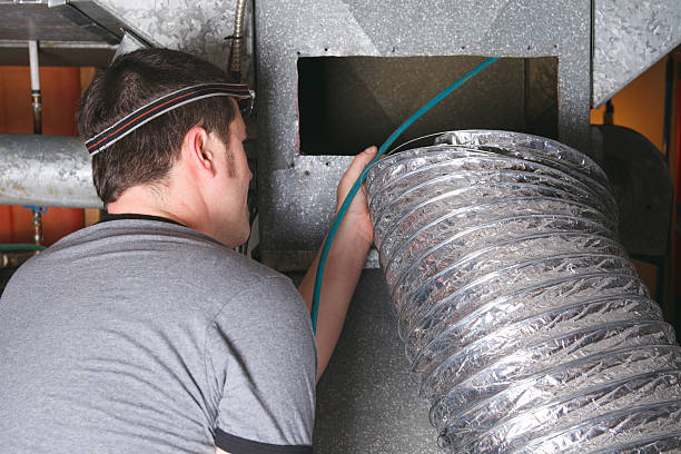 Best Dryer Vent Cleaning Services  in Elizabeth, PA